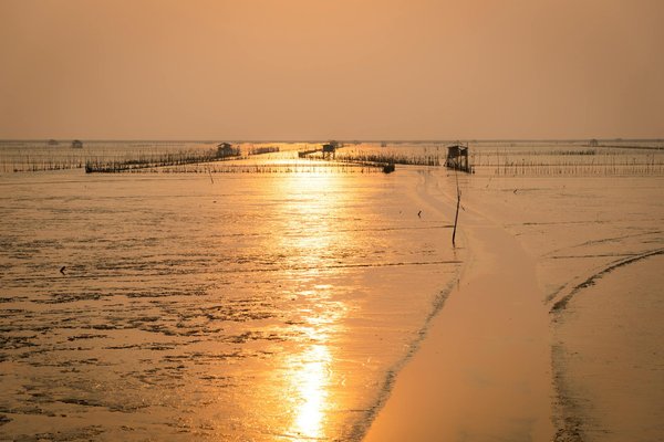 Quelles sont les meilleures astuces pour éviter les files d'attente dans les attractions touristiques populaires ?