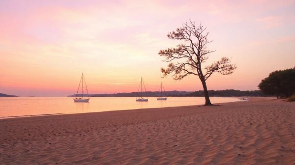 Top 5 expériences paisibles au camping le lagon d'argelès
